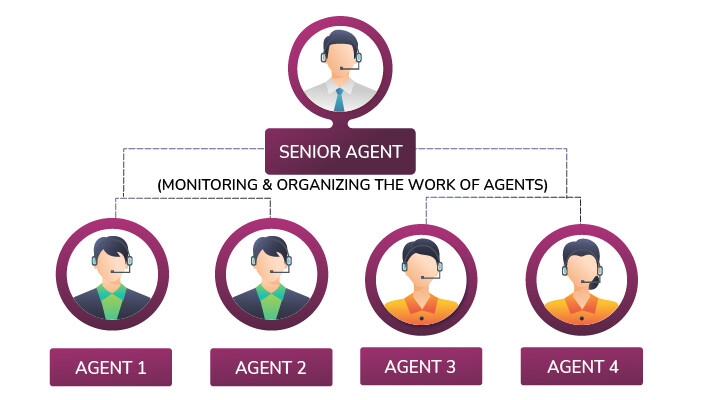 senior agents